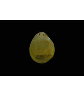 2.64 cts Natural Cats Eye - Lehsunia (SKU:90074738)