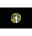 2.66 cts Natural Cats Eye (Lehsunia)