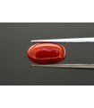 3.87 cts Natural Coral (Moonga)