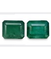 8.31 cts Natural Emerald (Panna) - Earring Pair