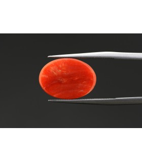 4.75 cts Natural Coral - Moonga (SKU:90074905)