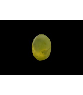 1.61 cts Natural Cats Eye - Lehsunia (SKU:90074974)